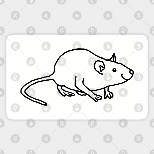 Cute Rat Drawing - Because this link was so popular, i decided i owed